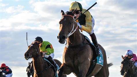 On The Punt: 2022 Geelong Cup day tips, best bets, .